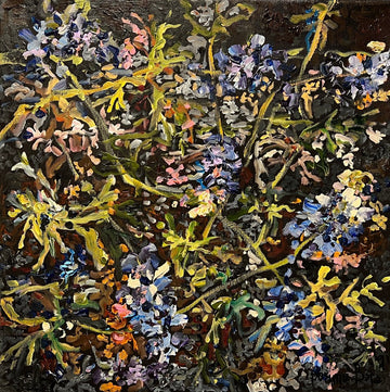 Surtsey - landnám lúpínu